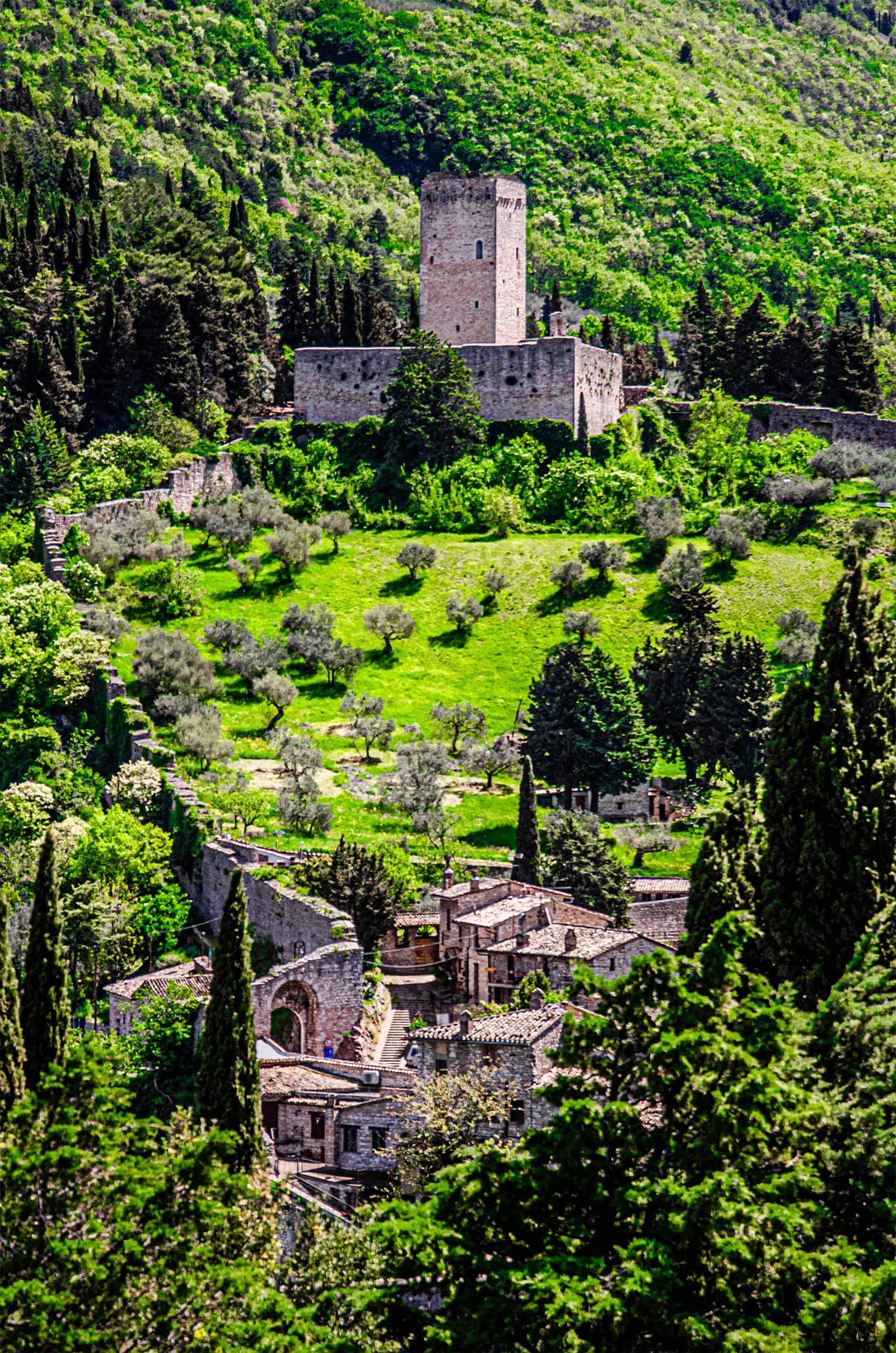 Assisi, Umbria, Italy (2024)
