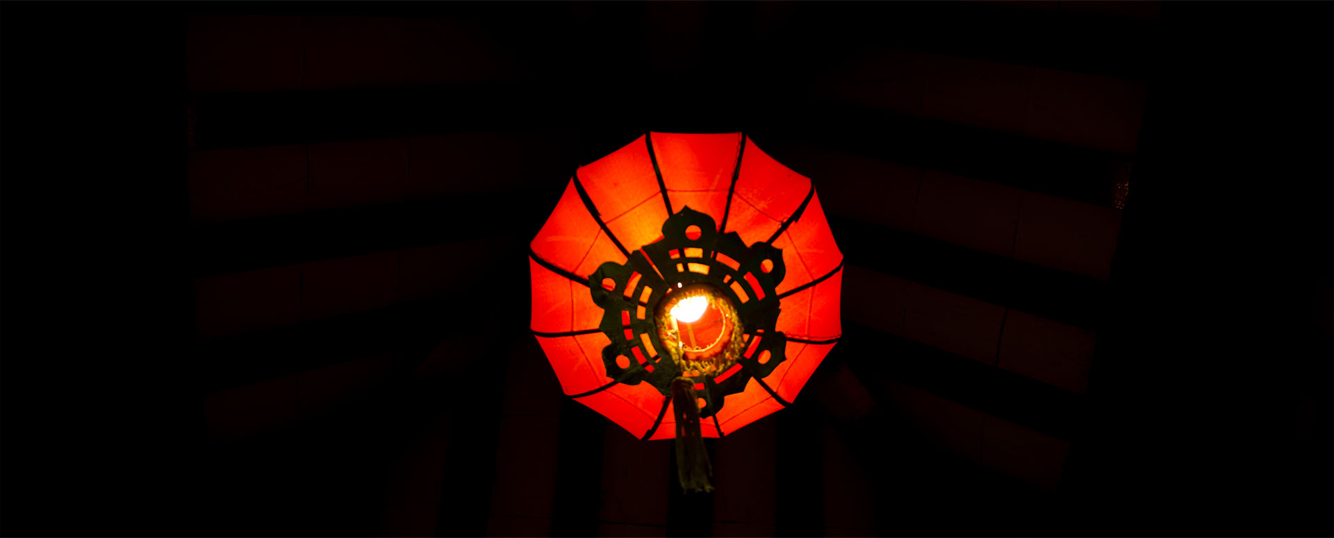 Lantern, Chinese Gardens (2011)